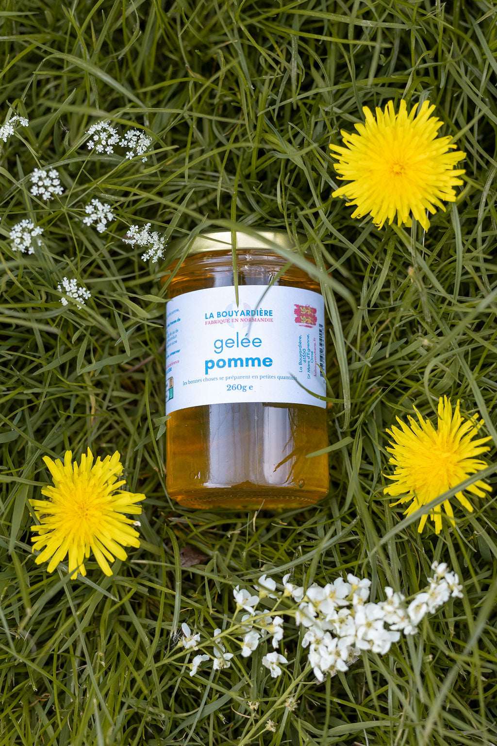 Gelée de pomme 260g
