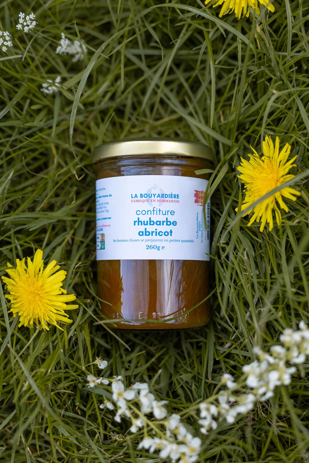 Confiture de rhubarbe abricot 260g