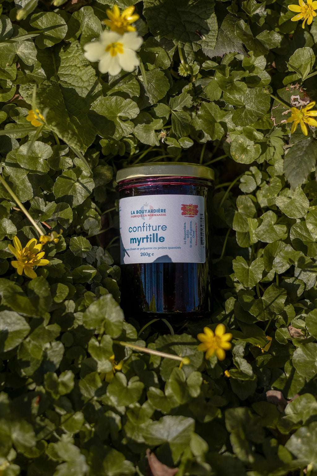 Confiture de myrtille 260g