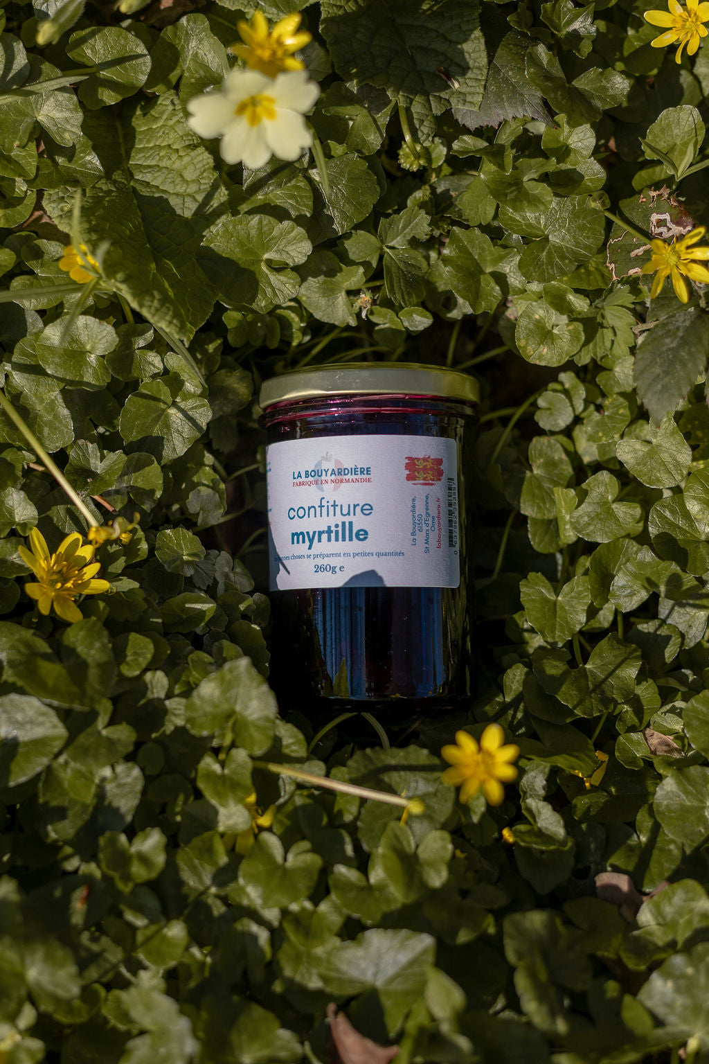 Confiture de myrtille 260g