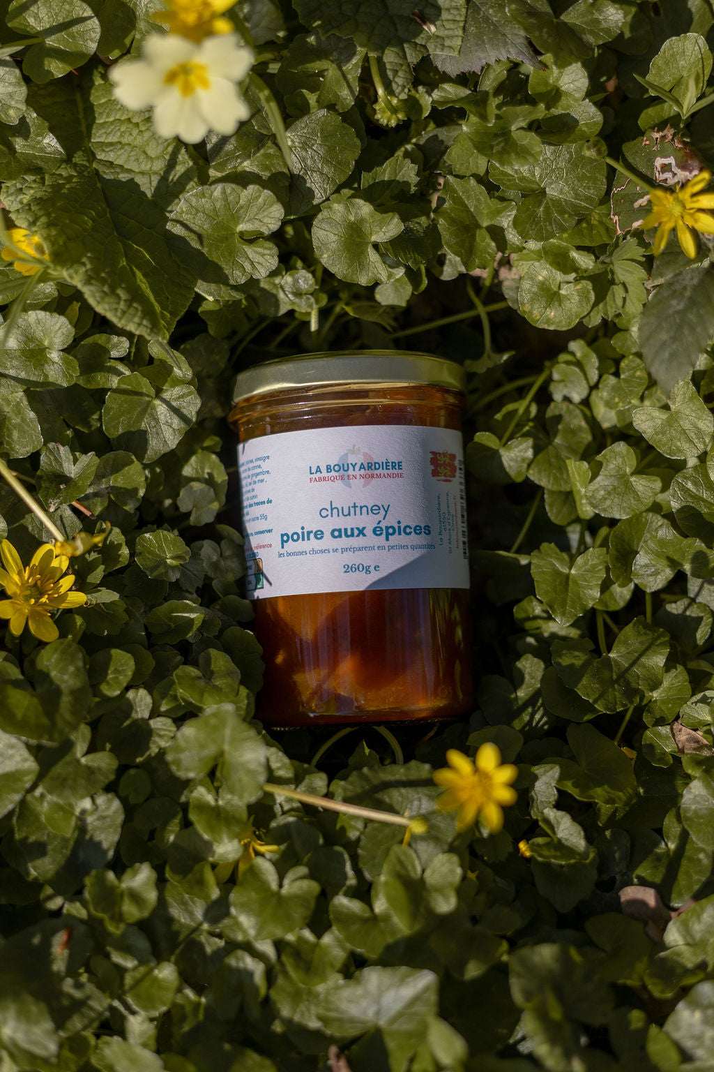 Chutney de Poire aux épices 260g