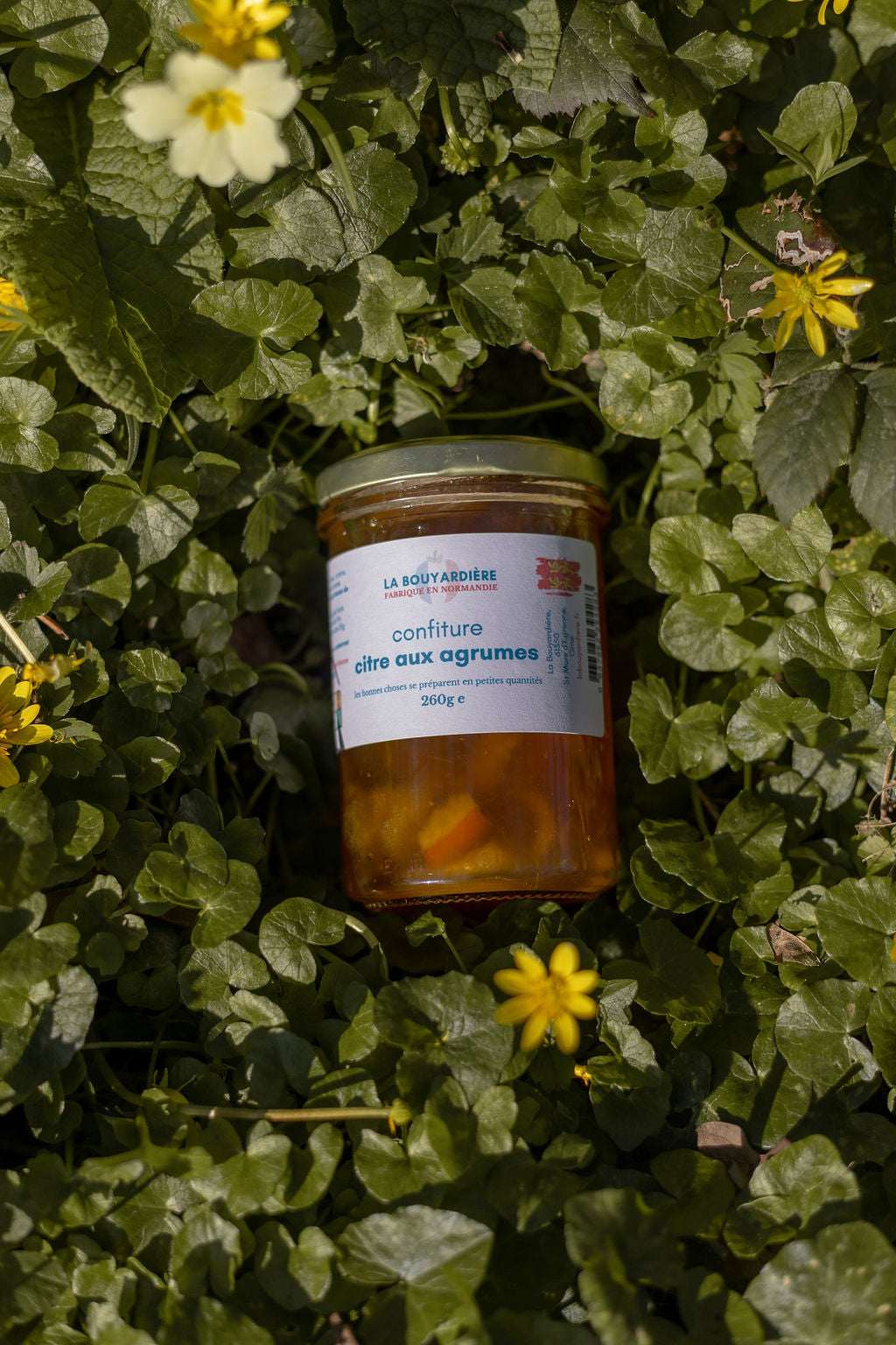 Confitures de citre aux agrumes 260g