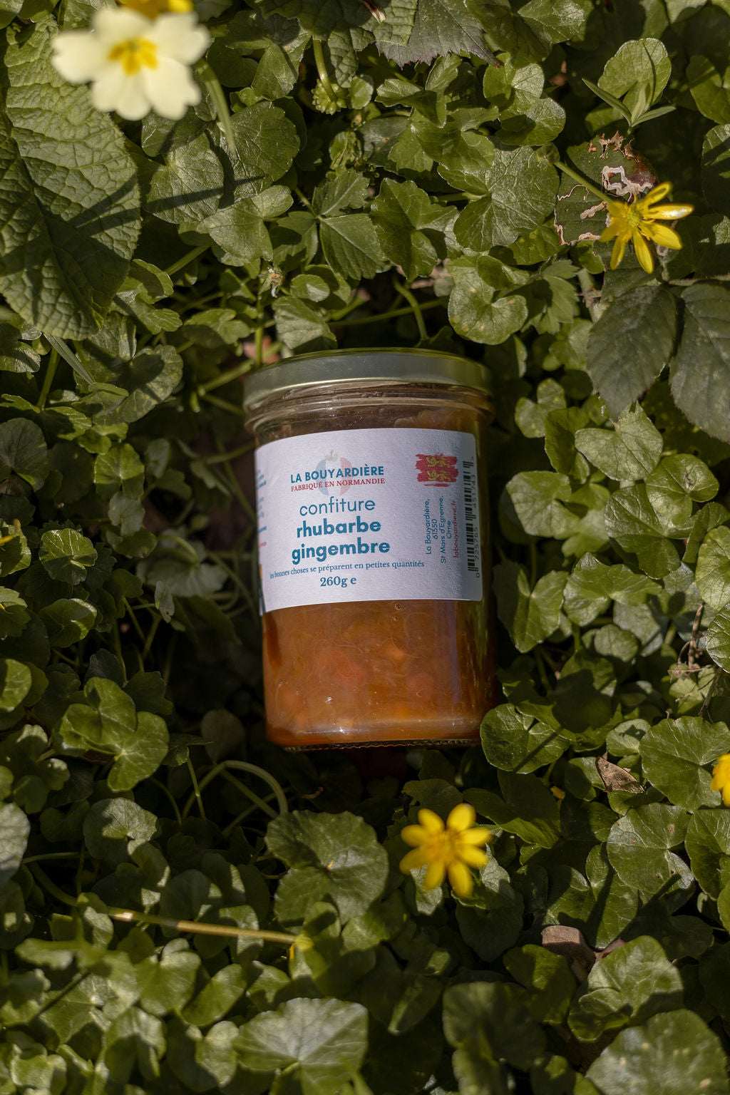 Confiture de rhubarbe au gingembre 260g